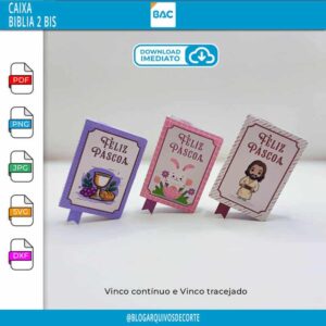 Caixa Biblia 2 BIS