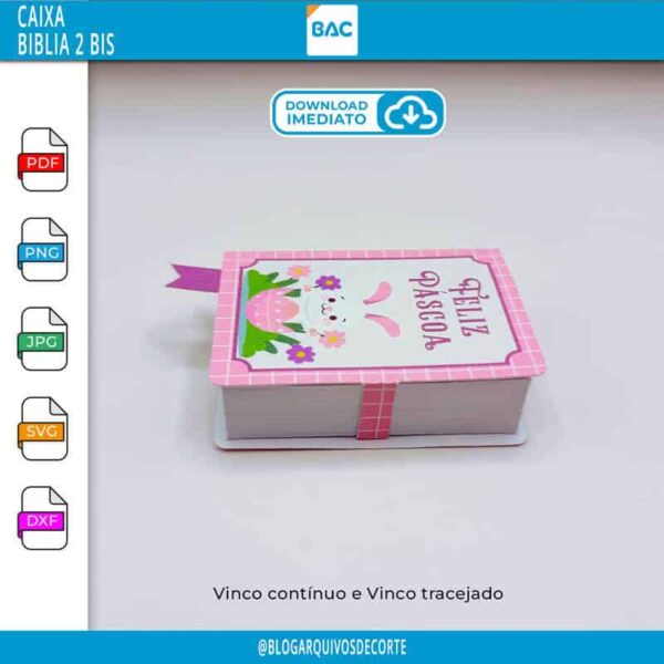 Caixa Biblia 2 BIS