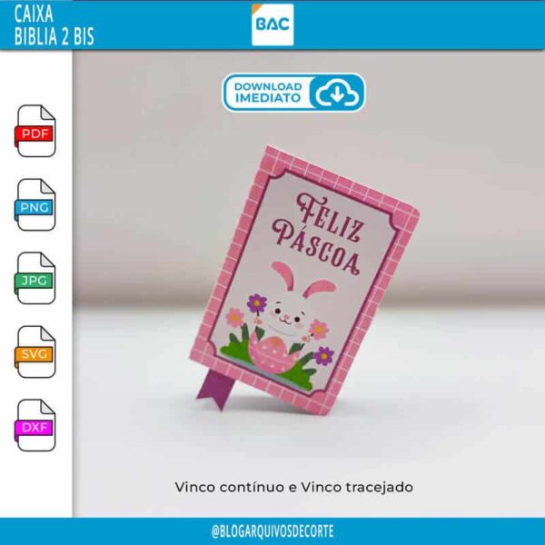 Caixa Biblia 2 BIS