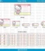 Kit de Etiquetas Escolares Hello Kitty – Arquivo de Corte